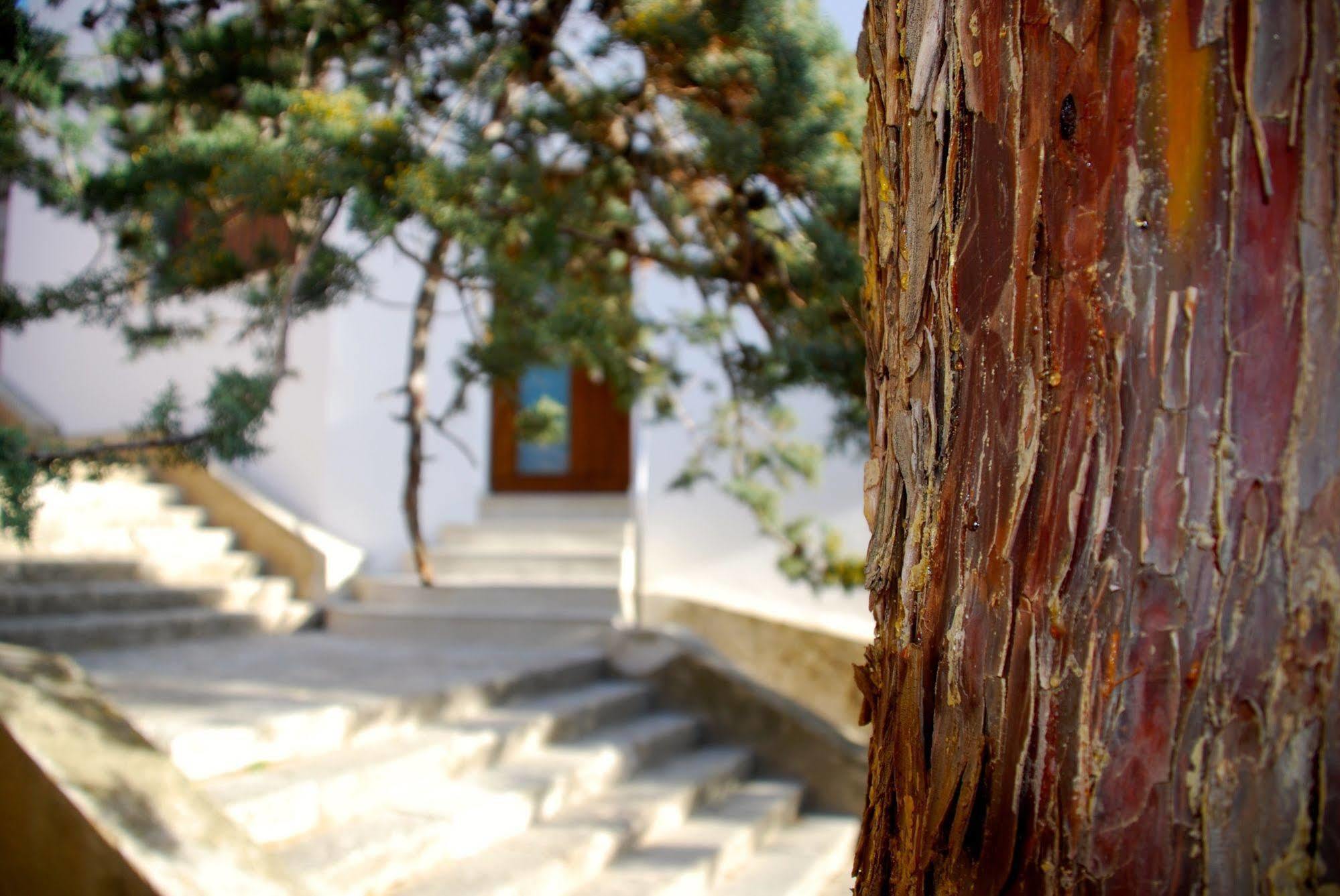 Apartamento Rural Castillo De Yeste 2 Pax (Adults Only) Bagian luar foto